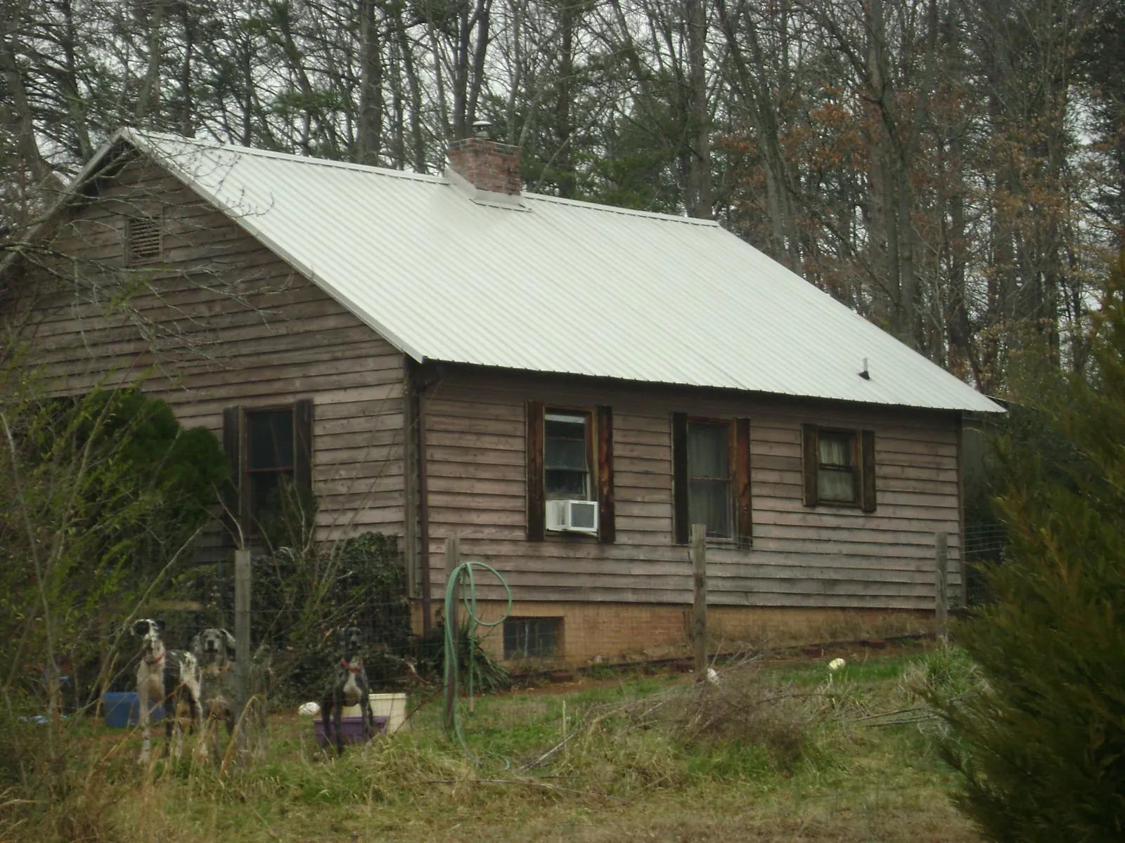 White metal roof on an old wood sided farmhouse, from a Asphalt Shingle Roof Repair job in Barto